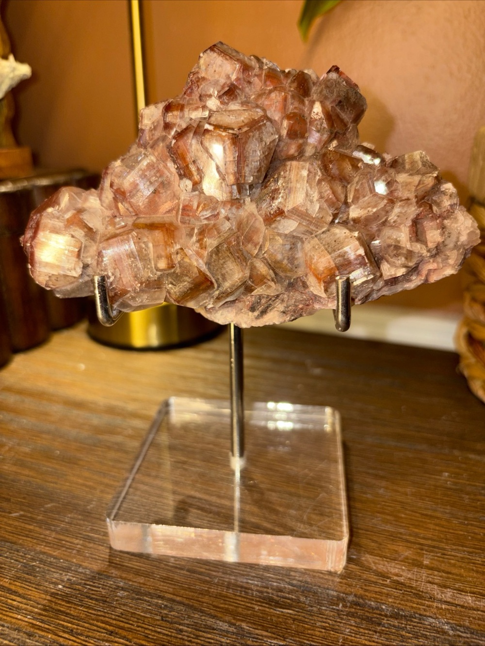 Shiny Chocolate Calcite